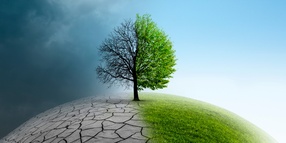 The Climate Crisis: Why Small Individual Actions Matter