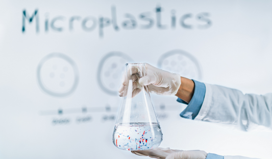 Microplastics and the Detriments to our Health