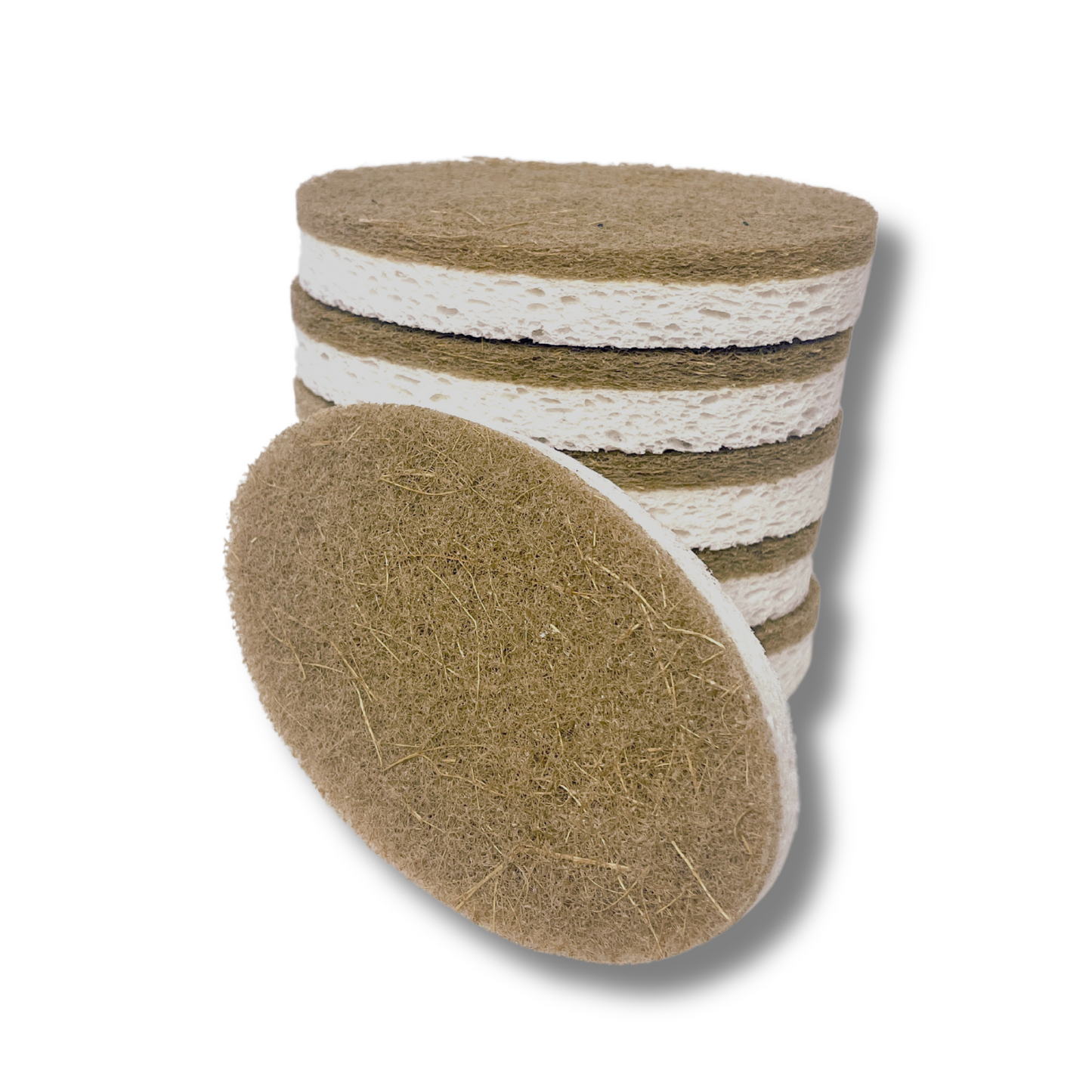 6pk Oval Dish Sponges