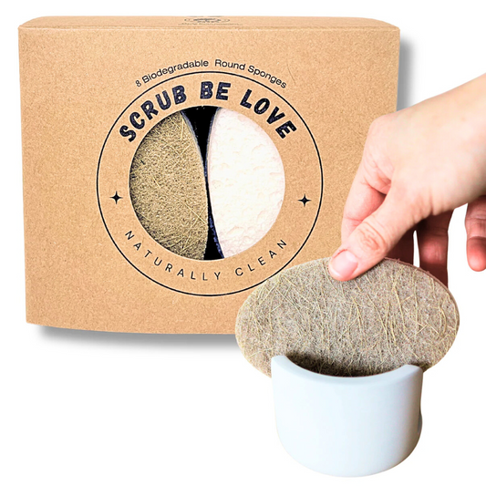 Bundle & Save!- 6pk Oval Sponges + Diatomite Sponge Holder