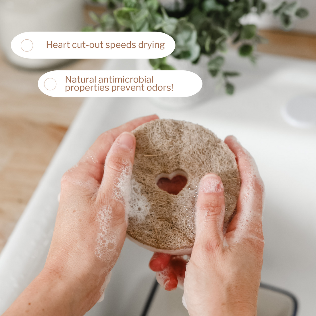 Bundle & Save BIG!— 16pk Round Heart Sponges (4 x 4-Packs)