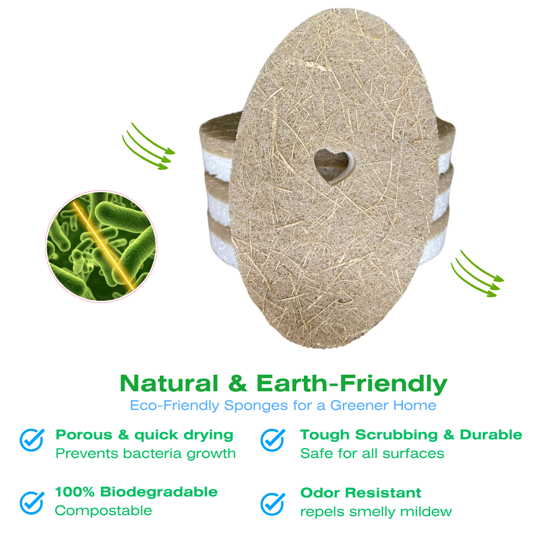 4pk Oval Heart Sponges