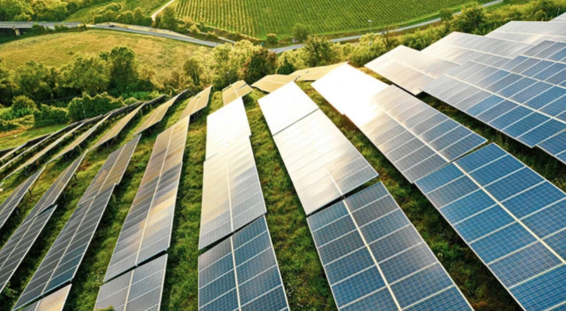 The Hidden Costs of Solar Farms