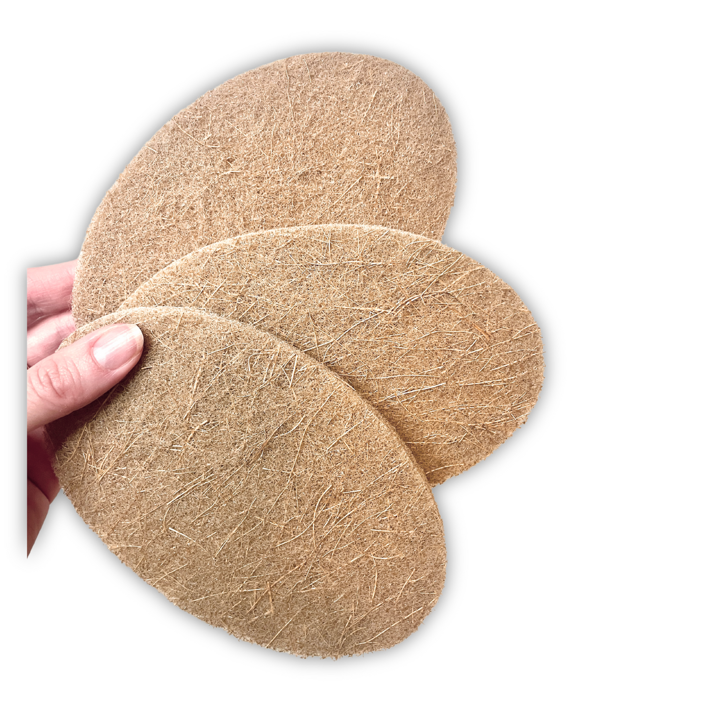 6pk Coconut Coir Scrub Pads