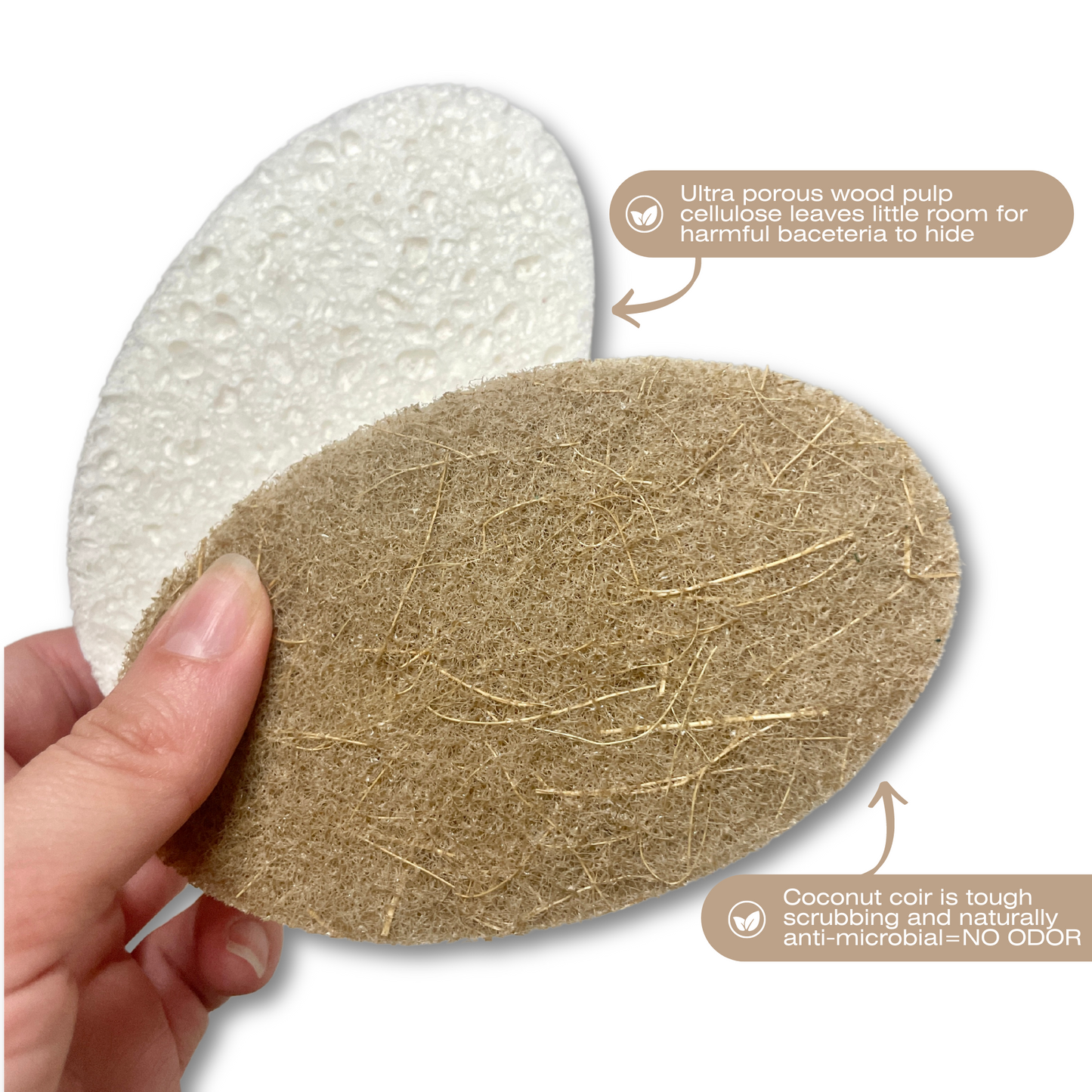 Bundle & Save- 8 Pk of Oval Sponges & Diatomite Sponge Holder