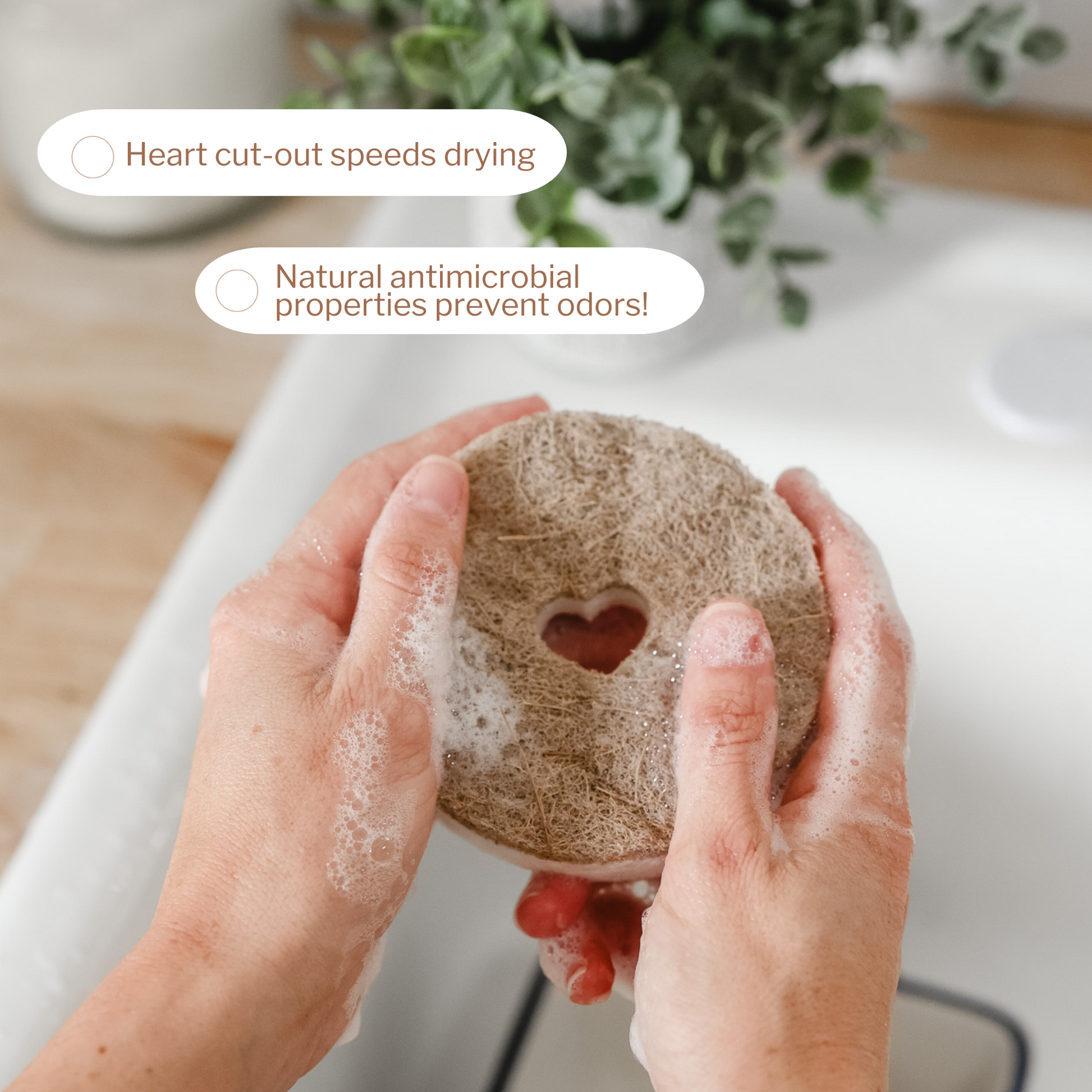 All-Natural Dish Sponges - 4 Pack – BeWea - Together For Better Weather